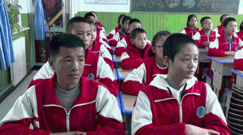 金牌保镖熊先生